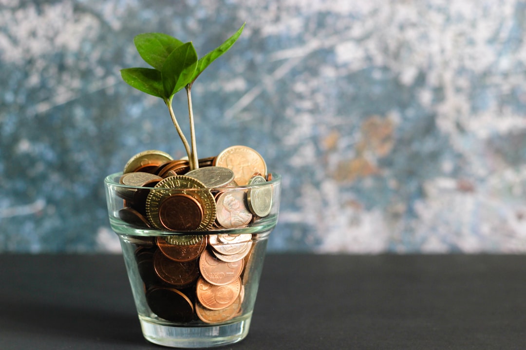 Financial Software Solutions - Custom software development